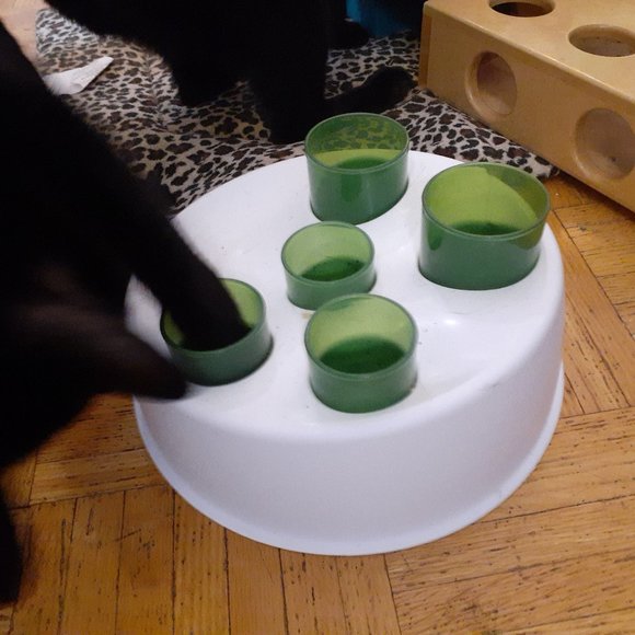 SALE!! Brand New Catit Senses 2.0 - Picture 3 of 4